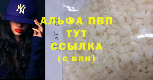 гидра Кемь